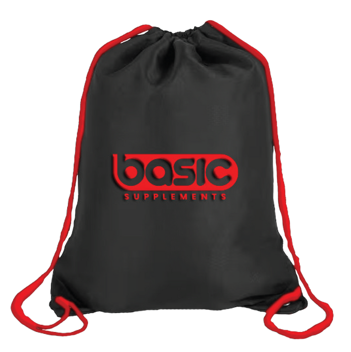 Shoe Bag