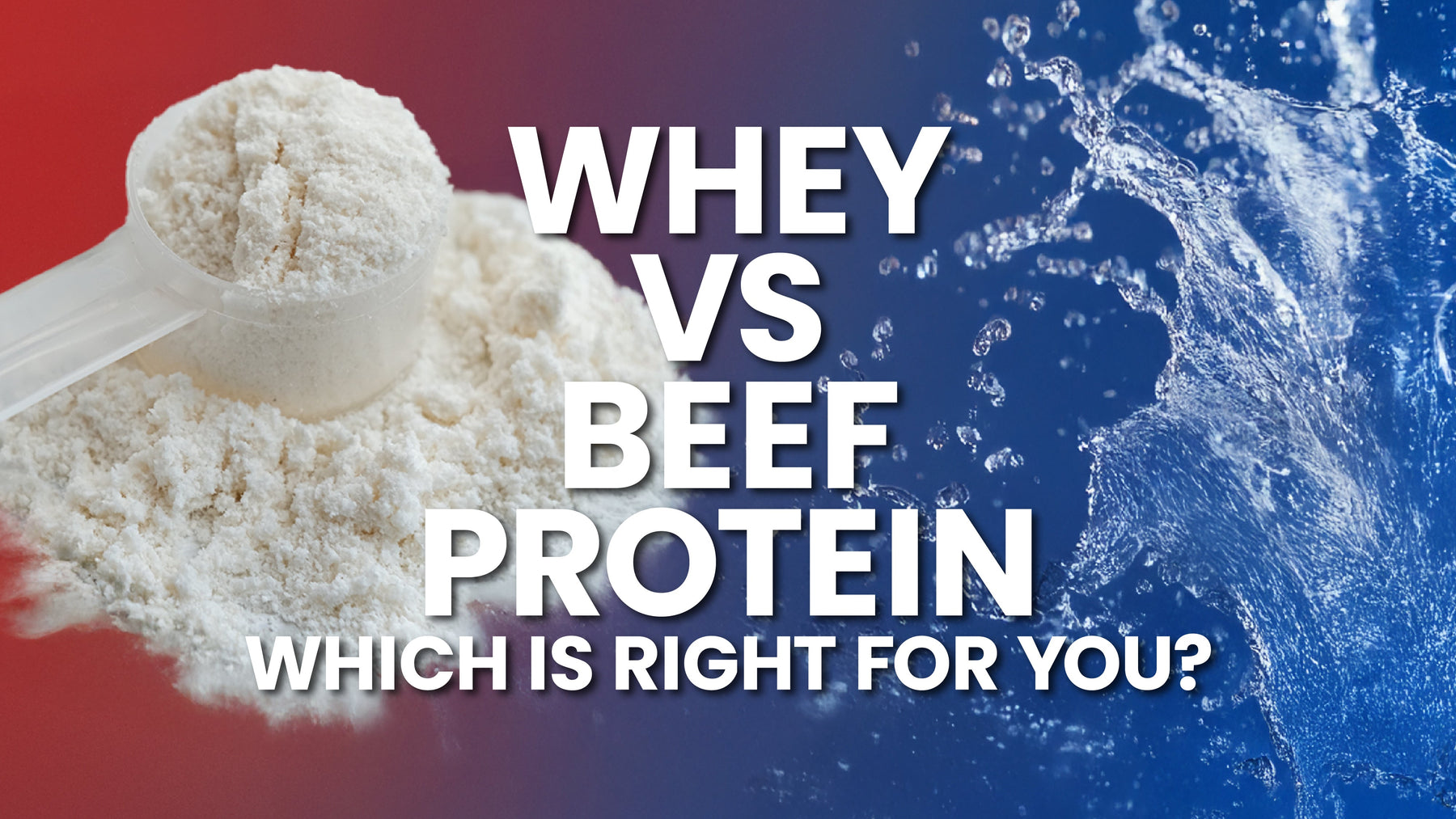 Whey vs Beef Protein: What’s the Difference and Which One’s Right for You? 